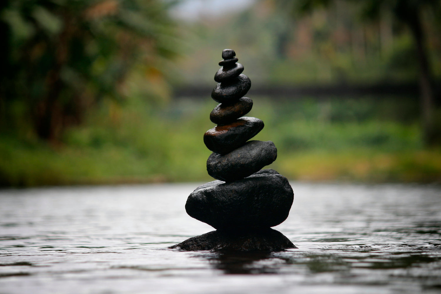 Tranquility & Wellness