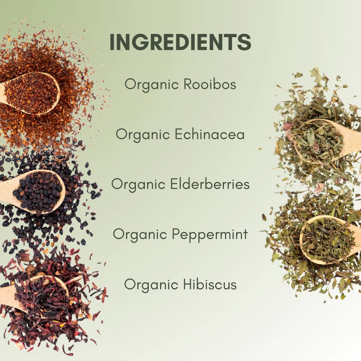 Full Leaf Tea Co Organic Immunity Blend