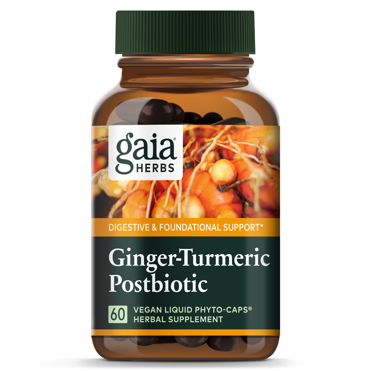 Gaia Herbs Ginger-Turmeric Postbiotic