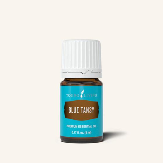 YL Blue Tansy Essential OIl
