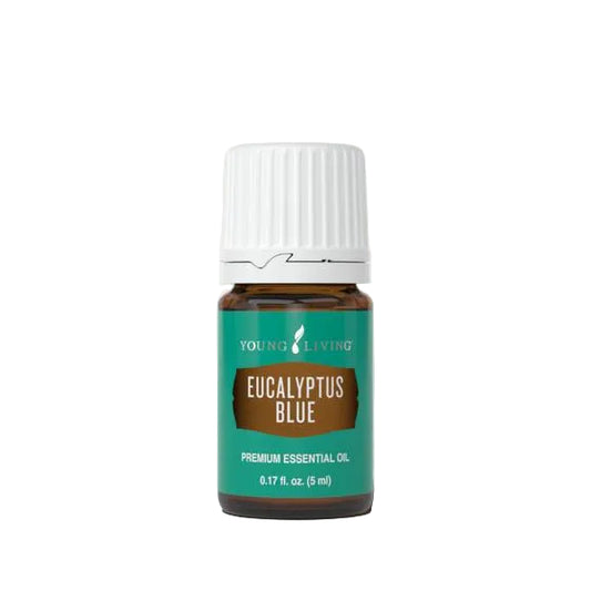 Young Living Eucalyptus Blue Essential OIl